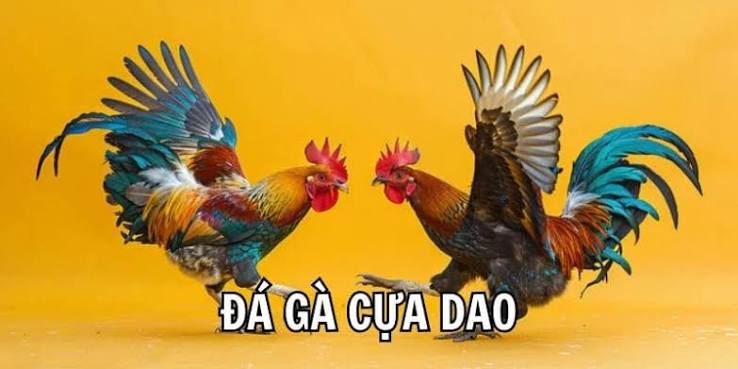 Mẫu cựa được sử dụng trong các tài liệu nghiên cứu