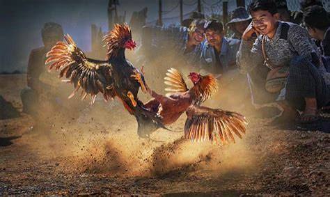 Góc nhìn khách quan về quy định và an toàn